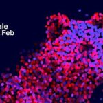 «دختران غمگین» برنده جایزه خرس بلورین برلین شد