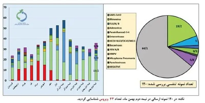 آنفولانزا در 2 استان بالاتر از حد هشدار است 9 5 نمودار آنفولانزا