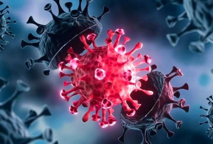 آنفولانزا در 2 استان بالاتر از حد هشدار است