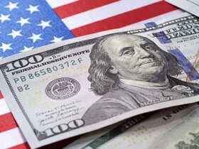قیمت دلار امروز دوشنبه 13 اسفند 1404