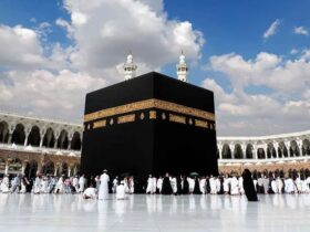 جزئیات مهم در مورد حاج تماتو 1405