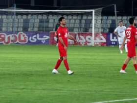 شجاع خلیل زاده