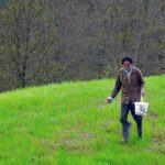 تنهایی و وفاداری قدم علی در روستایی خالی