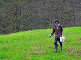 تنهایی و وفاداری قدم علی در روستایی خالی