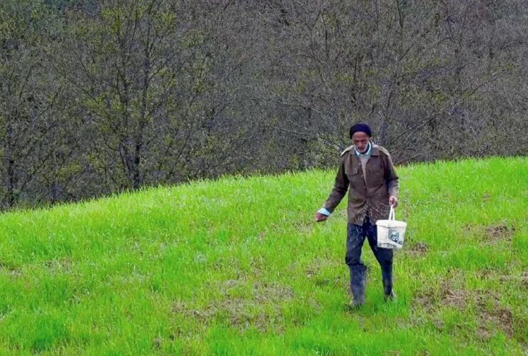 تنهایی و وفاداری قدم علی در روستایی خالی