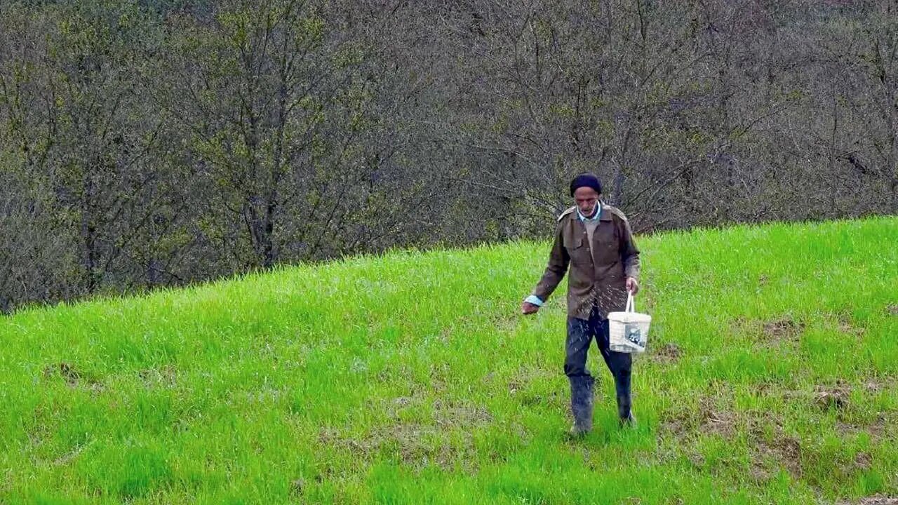 تنهایی و وفاداری قدم علی در روستایی خالی