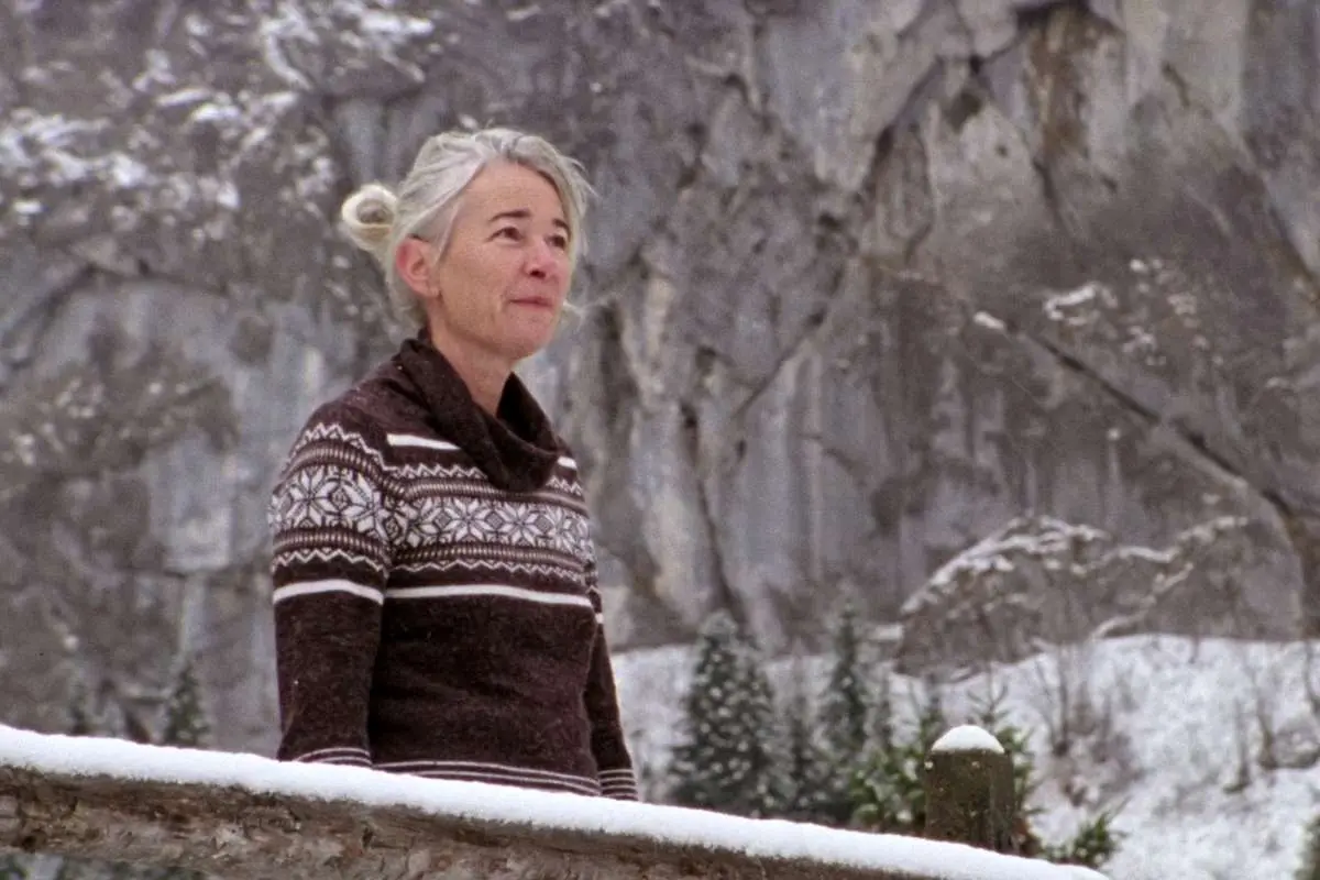 نقد و بررسی فیلم جنگل مرتفع / وقتی کوه سرد پناه می گیرد