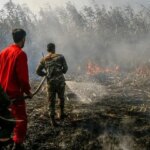 آتش سوزی در تالاب انزلی