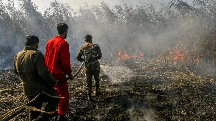 آتش سوزی در تالاب انزلی