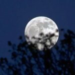 امشب آسمان را تماشا کن؛ ماه در کمترین فاصله از زمین دیده می شود