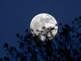 امشب آسمان را تماشا کن؛ ماه در کمترین فاصله از زمین دیده می شود 8 امشب آسمان را تماشا کن؛ ماه در کمترین فاصله از زمین دیده می شود