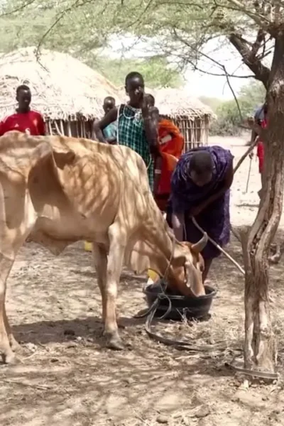 برای دیدن؛ خشکسالی شدید در کنیا