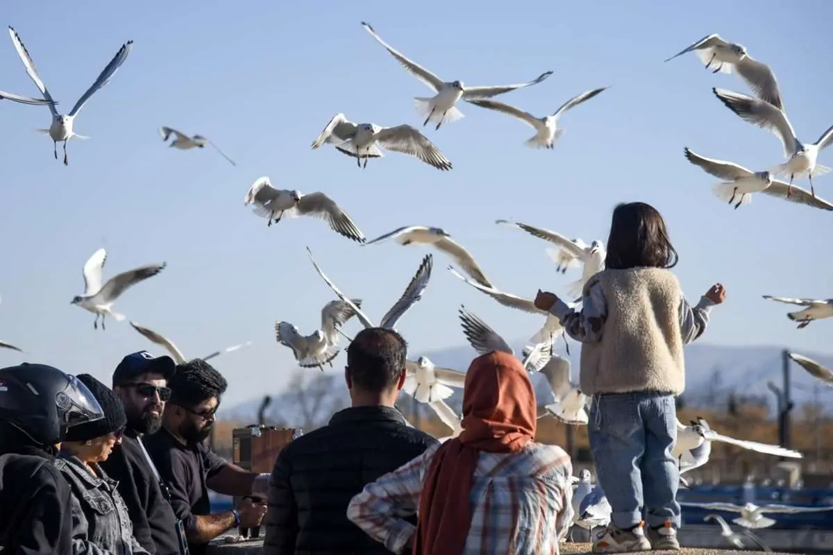 تصاویر; kakais; از شیراز 