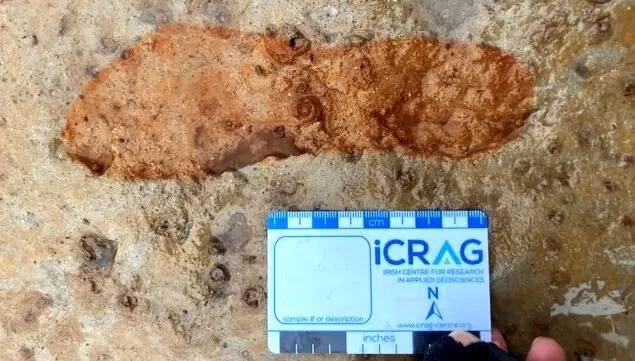 رد پای 2000 ساله چگونه نجات یافت؟