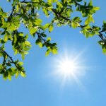 رکورد دمای هوا در سردترین استان کشور