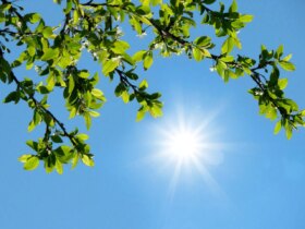 رکورد دمای هوا در سردترین استان کشور 9 رکورد دمای هوا در سردترین استان کشور