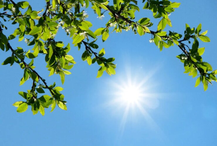 رکورد دمای هوا در سردترین استان کشور