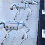 سگ های روباتی نگهبانان جام جهانی 2026 خواهند بود