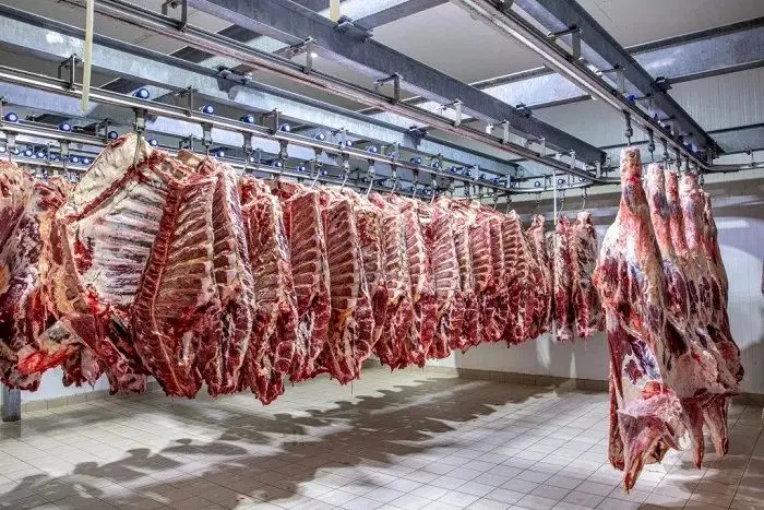 قیمت ها کاهش یافت/ رقابت در بازار گوشت آغاز شد