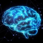 مدیتیشن فعالیت مغز را تغییر می دهد