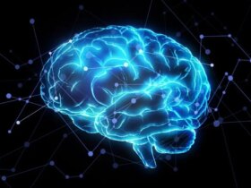 مدیتیشن فعالیت مغز را تغییر می دهد