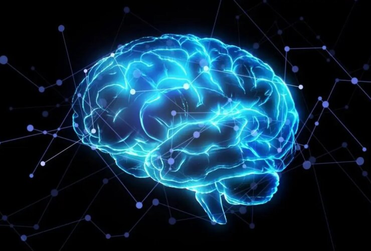 مدیتیشن فعالیت مغز را تغییر می دهد