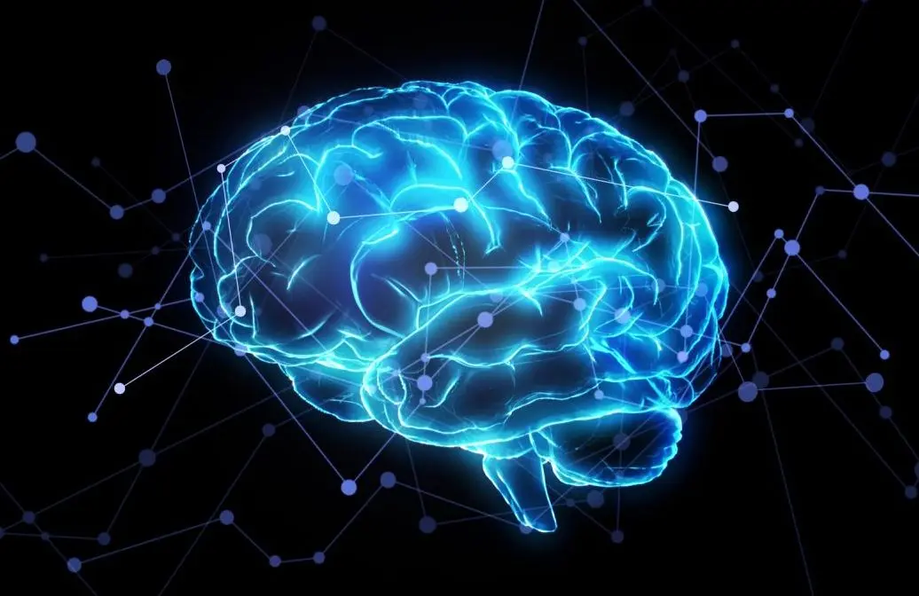 مدیتیشن فعالیت مغز را تغییر می دهد