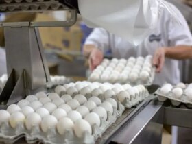 ممنوعیت صادرات تخم مرغ لغو شد