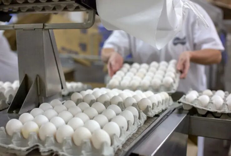 ممنوعیت صادرات تخم مرغ لغو شد