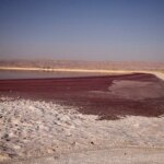 چاه های کشاورزی نفس تالاب مهارلو را می بندد/ هشدار تبدیل شدن به کانون گرد و غبار