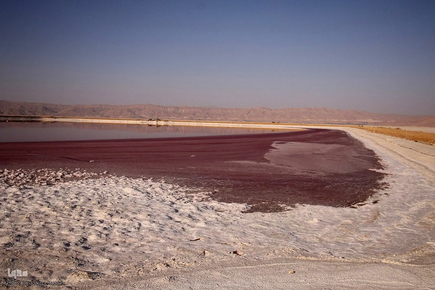 چاه های کشاورزی نفس تالاب مهارلو را می بندد/ هشدار تبدیل شدن به کانون گرد و غبار