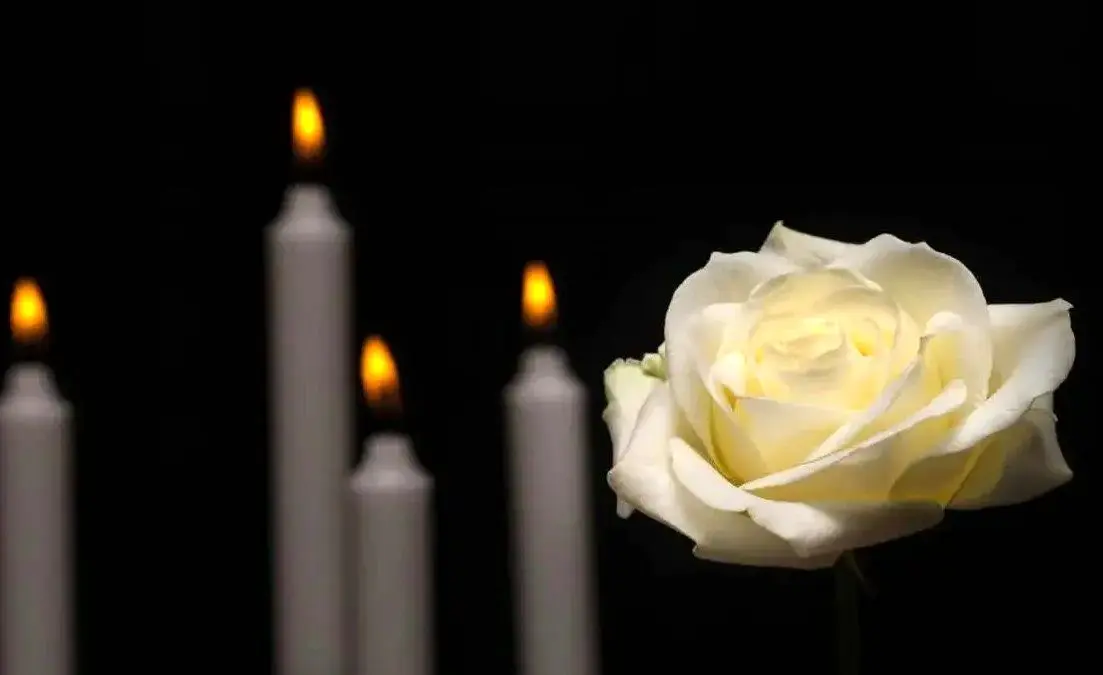 چگونه می توانیم پس از مرگ رشد کنیم: نگاهی به رشد پس از سانحه