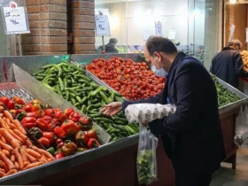 گوجه فرنگی کیلویی از 86 هزار تومان گذشت 8 گوجه فرنگی کیلویی از 86 هزار تومان گذشت