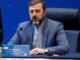 واکنش معاون وزیر امور خارجه به ادعای حمله پهپادی به آذربایجان