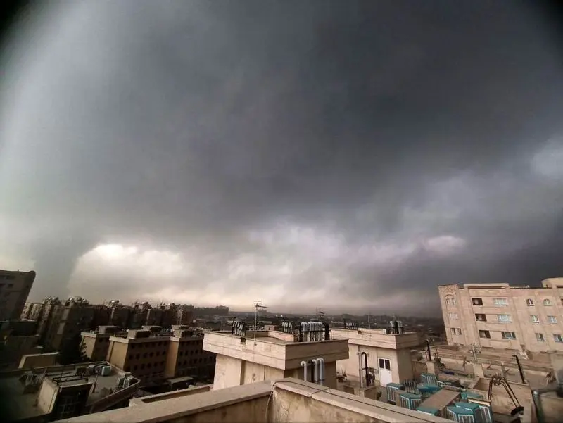 photo_2026-03-08_11-31-22