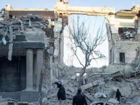 شهادت 5 دانشجوی پیام نور/تعداد دانشجویان شهید از 15 نفر گذشت