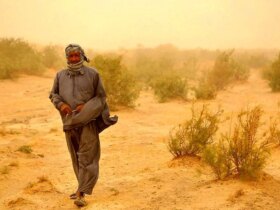 ادارات این منطقه فردا سه شنبه تعطیل است