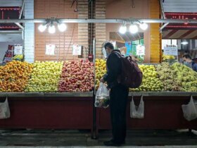 ساعت کاری مزارع ترابر در روزهای پایانی سال 8 ساعت کاری مزارع ترابر در روزهای پایانی سال