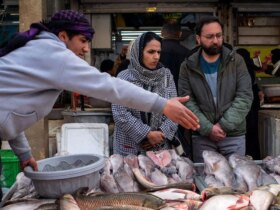 مشهد; بیا و از این بازار ماهی تازه بخر 8 مشهد; بیا و از این بازار ماهی تازه بخر