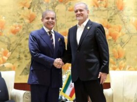 محورهای دیدار پزشکان با نخست وزیر پاکستان