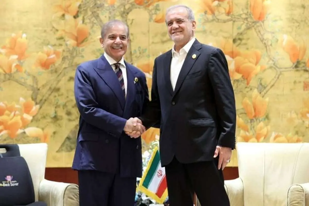 محورهای دیدار پزشکان با نخست وزیر پاکستان