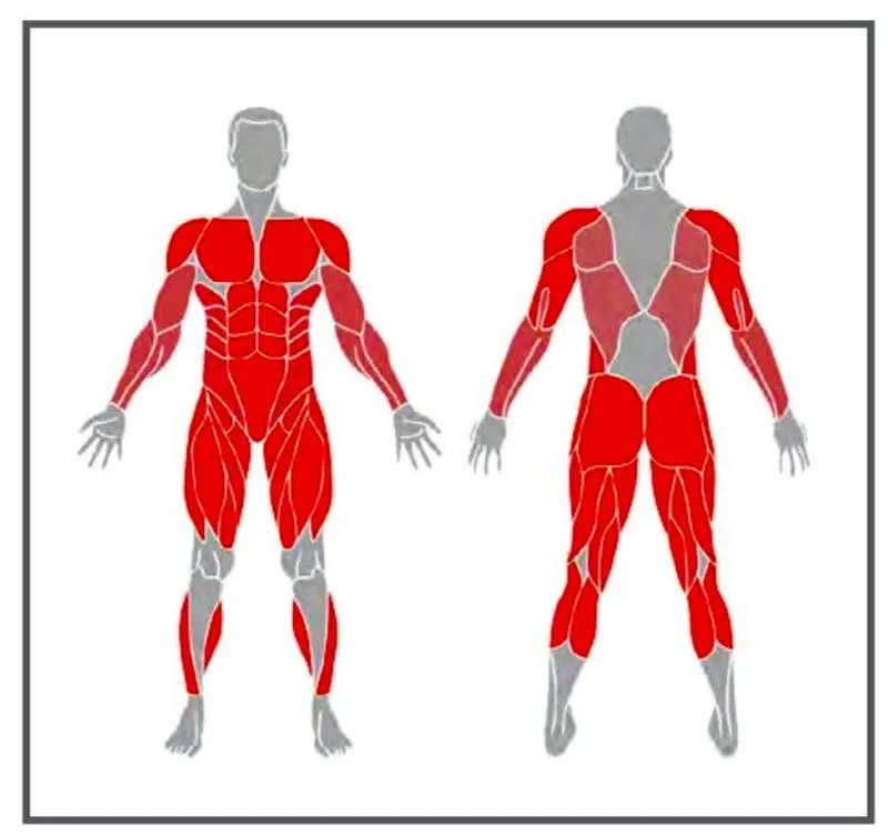 ورزش در خانه؛ برنامه تمرینی ویژه برای "تناسب اندام" 5 ورزش بدنی