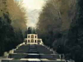 علیرضا قربانی از سرزمین سرزمین گفت