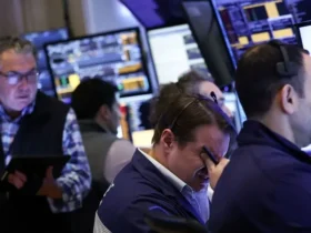 چه سرمایه گذاری هایی در سال 1404 سودآور بود؟