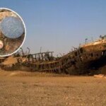 کشف گنجینه طلای 500 ساله در صحرا