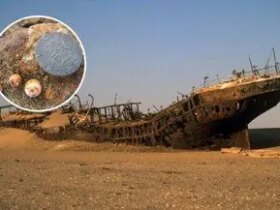 کشف گنجینه طلای 500 ساله در صحرا