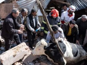 تصاویر; خسارات ناشی از حمله به واحدهای بازرگانی دام