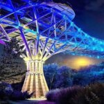 پل طبیعت در ماتم است