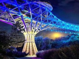 پل طبیعت در ماتم است