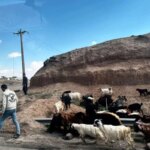 عکس های آسوشیتدپرس از کنار جاده تهران به مرز ترکیه